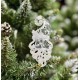 Санта-Клаус (дед мороз) Хрустальный Лед (как стекло) Новогоднее елочное украшение, Рождественский Декор.