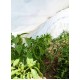 Парник-туннель Owocny 10 м из агроволокна 50 г/м²