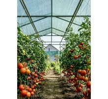 Затеняющая сетка 1,5 м 65% на метраж Big-Agro
