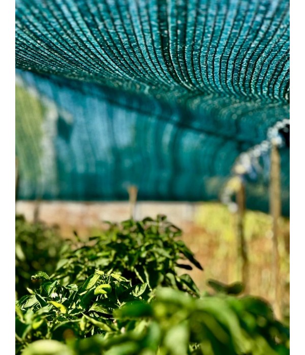 Притеняющий тент 3×12 м 85% с люверсами — затеняющая сетка с кольцами для растений и зон отдыха