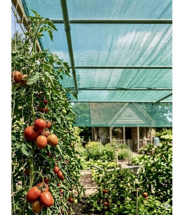 Затеняющая зелёная сетка 8 м 65% на метраж Big-Agro