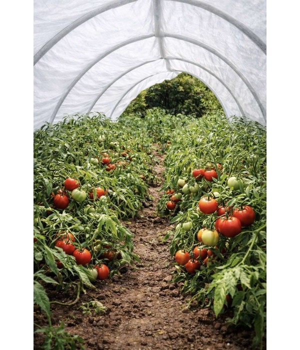 Парник-туннель Owocny профессиональный 10 м из агроволокна 65 г/м²