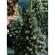 Элитная новогодняя елка 220 см с шишками и заснеженными кончиками - премиум украшение для вашего дома от Big-Agro