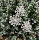 Снежинка (5) Жемчуг 21см Елочное Украшение, Новогодняя Игрушка, Рождественский Декор