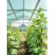 Затеняющая зеленая сетка 3 м 45% на метраж Big-Agro