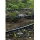 Капельная эмиттерная лента Super Drip (Корея) 8 mil 10 см 500 м