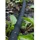 Капельная эмиттерная лента Super Drip (Корея) 8 mil 10 см 1000 м