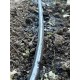 Капельная эмиттерная лента Super Drip (Корея) 8 mil 15 см 1000 м
