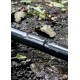 Капельная эмиттерная лента Super Drip (Корея) 8 mil 15 см 1000 м
