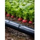 Капельная эмиттерная лента Super Drip (Корея) 8 mil 15 см 500 м
