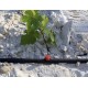 Капельница Садовая  Регулировочная 0-70 л / ч Корея